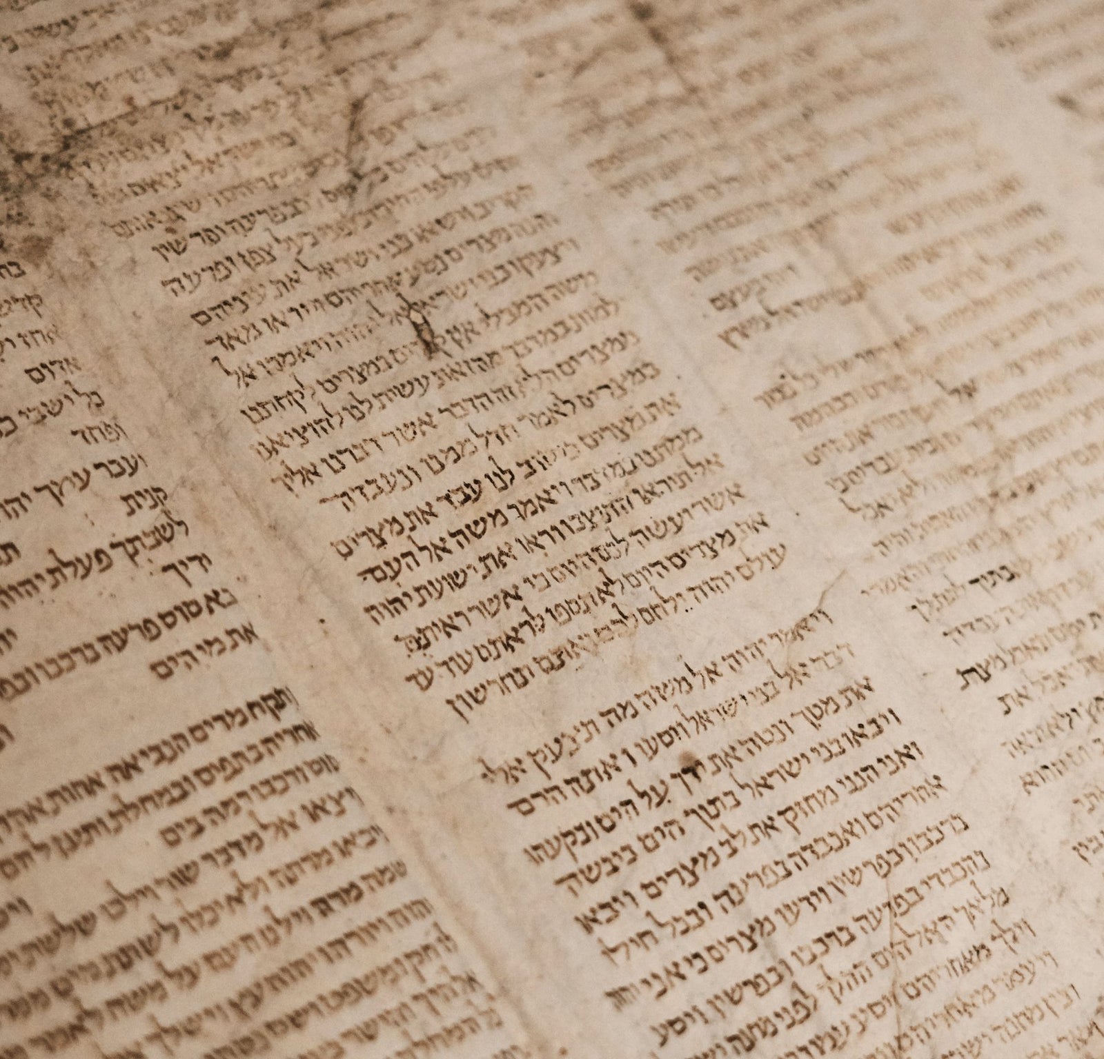 Bat Mitzvah - Dear Ava