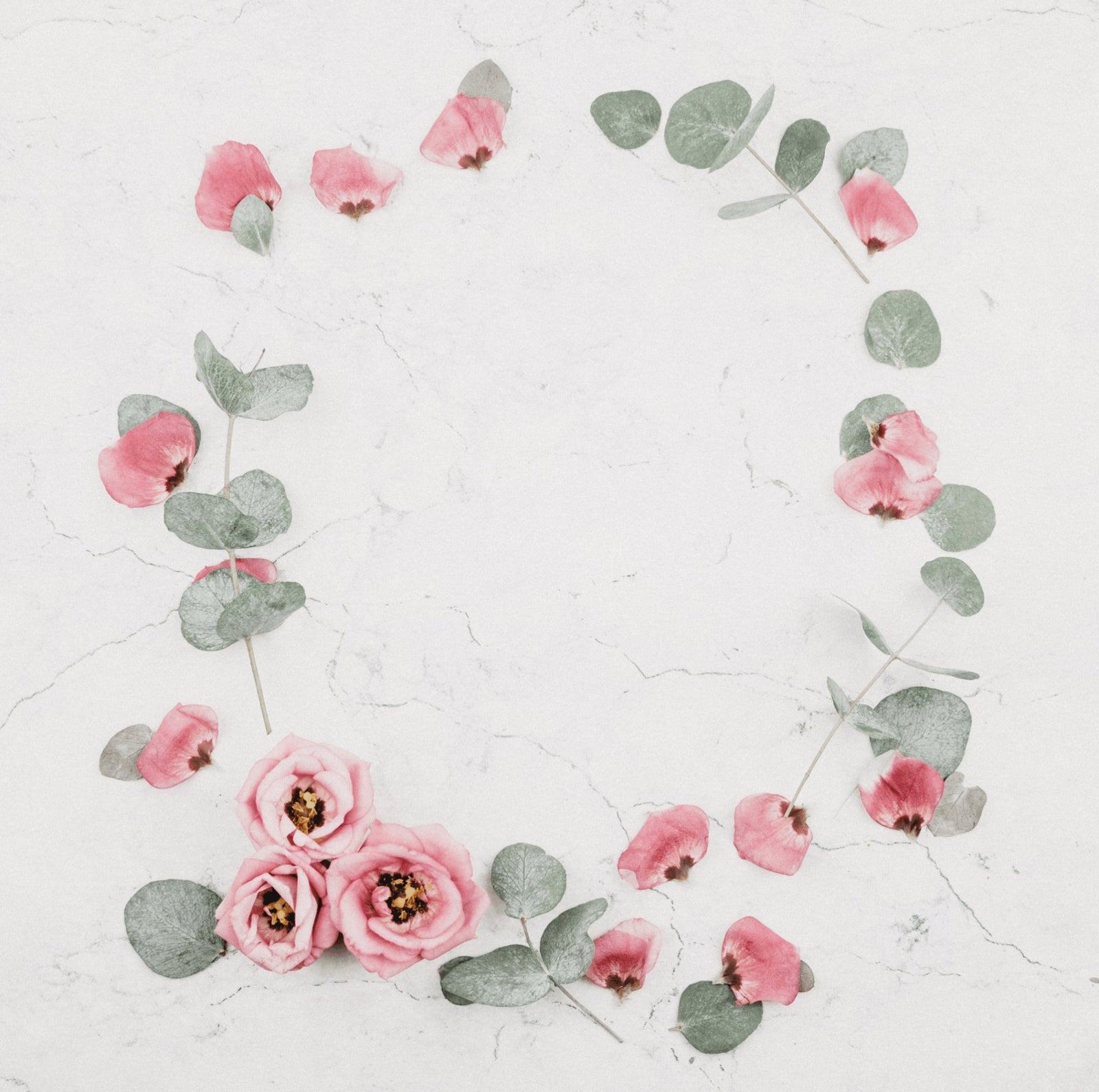 Grandmother - Dear Ava