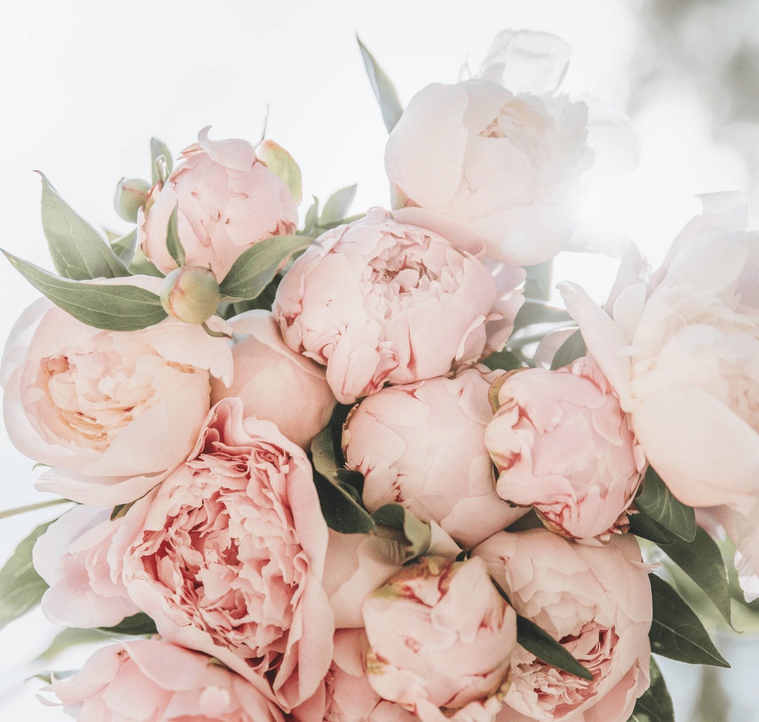 Quinceañera - Dear Ava