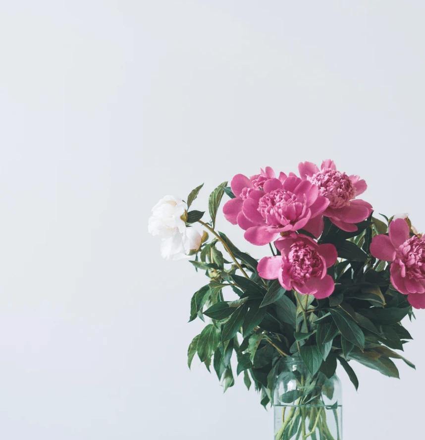 Thank You - Dear Ava