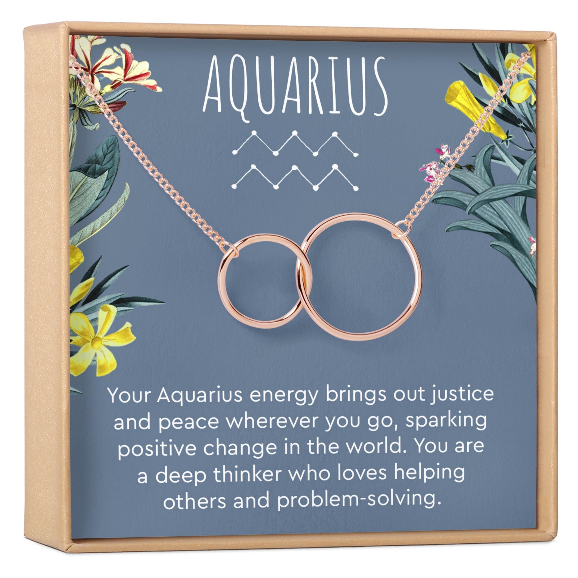 Aquarius Zodiac Gift Necklace Tarot birthday, holiday present
