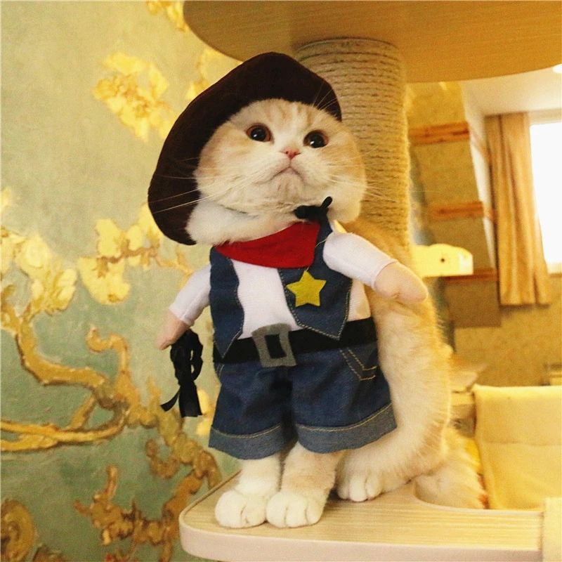 Cat cowboy outfit hotsell