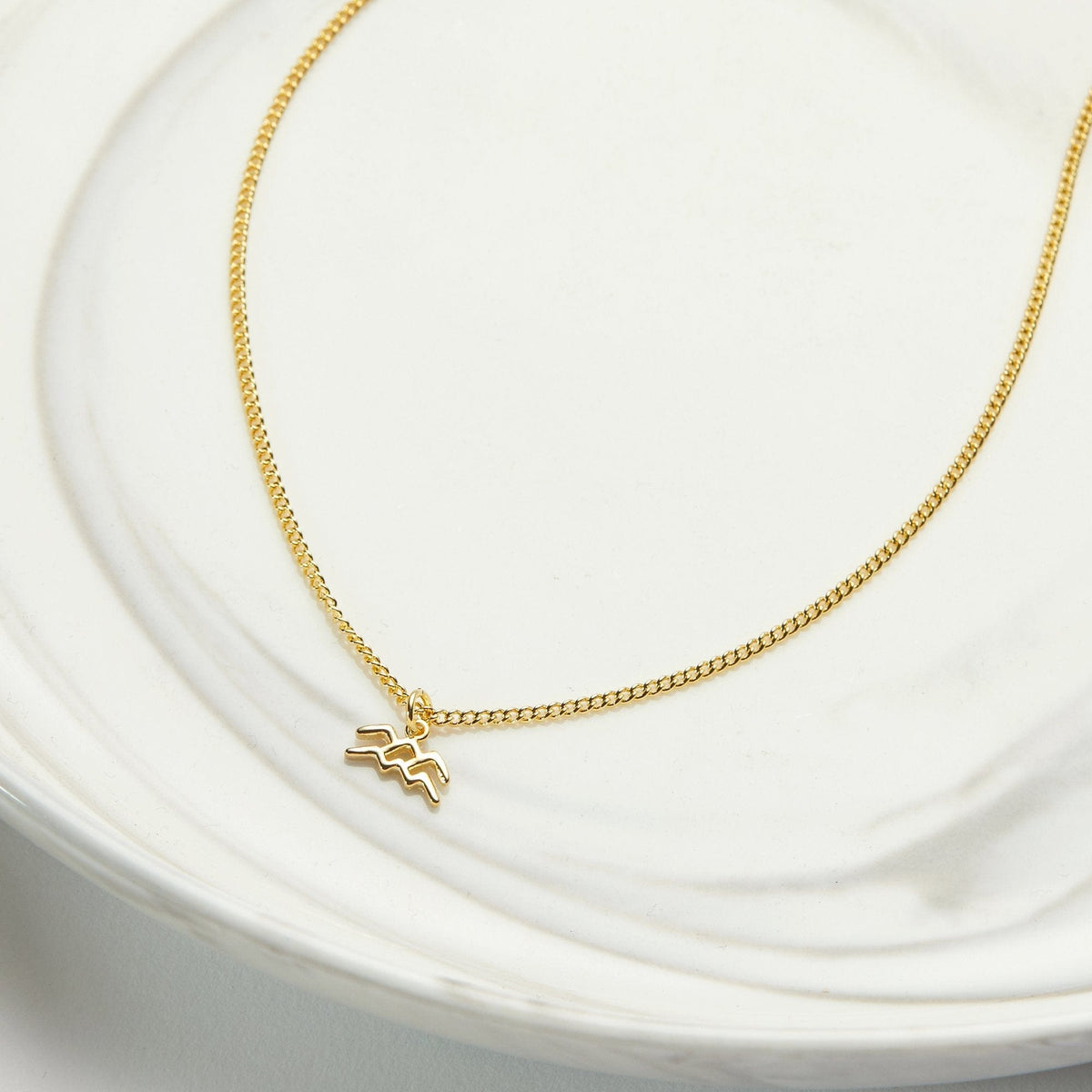 February 18th Aquarius Necklace - Dear Ava