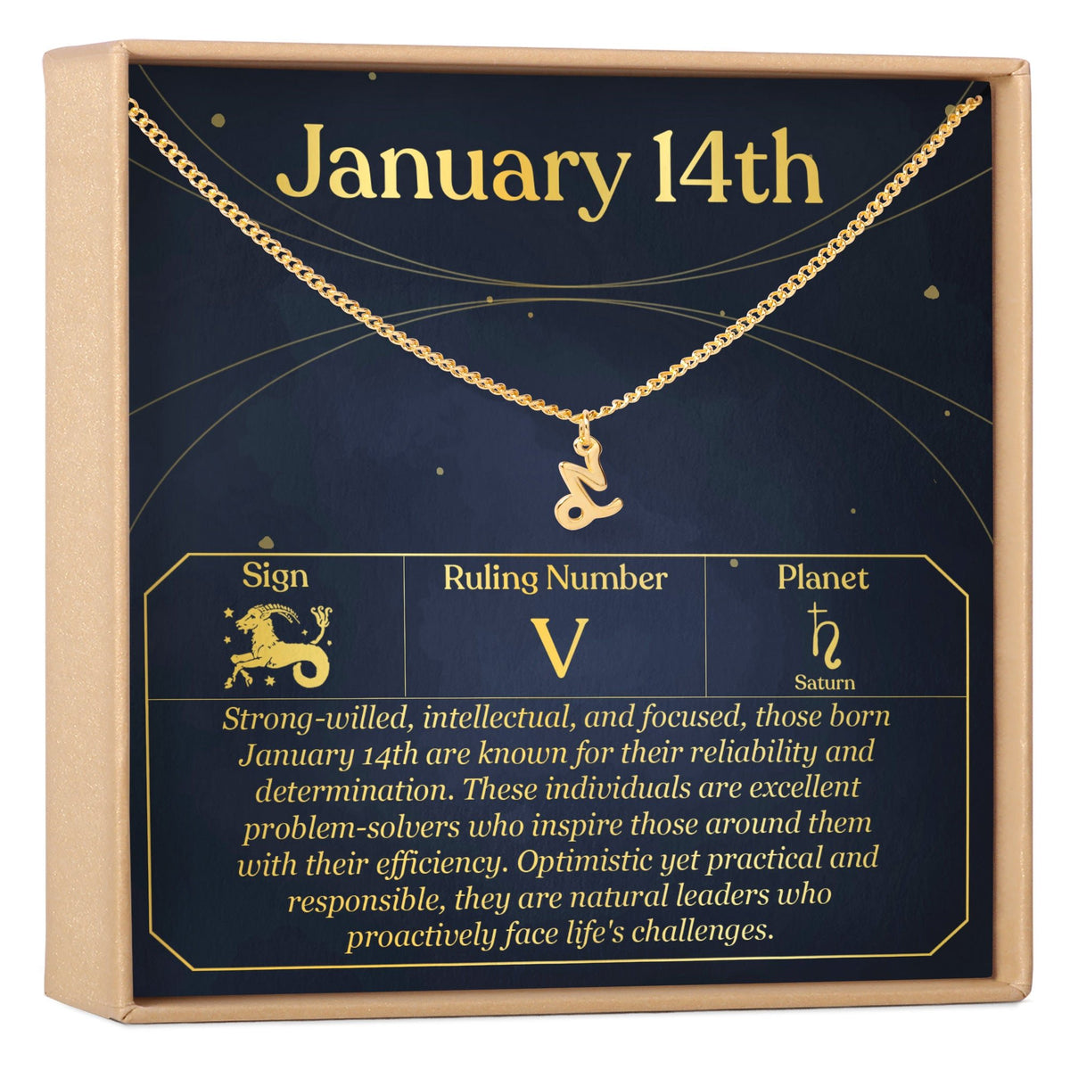 January 14th Capricorn Necklace - Dear Ava