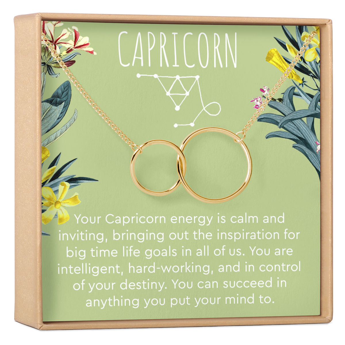 Capricorn Zodiac Gift Necklace