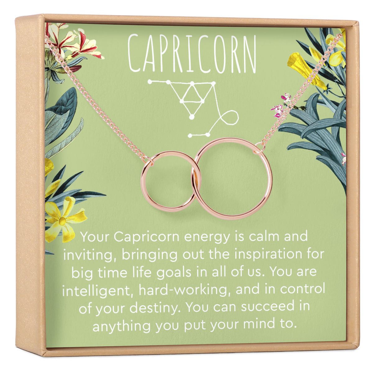 Capricorn Zodiac Gift Necklace