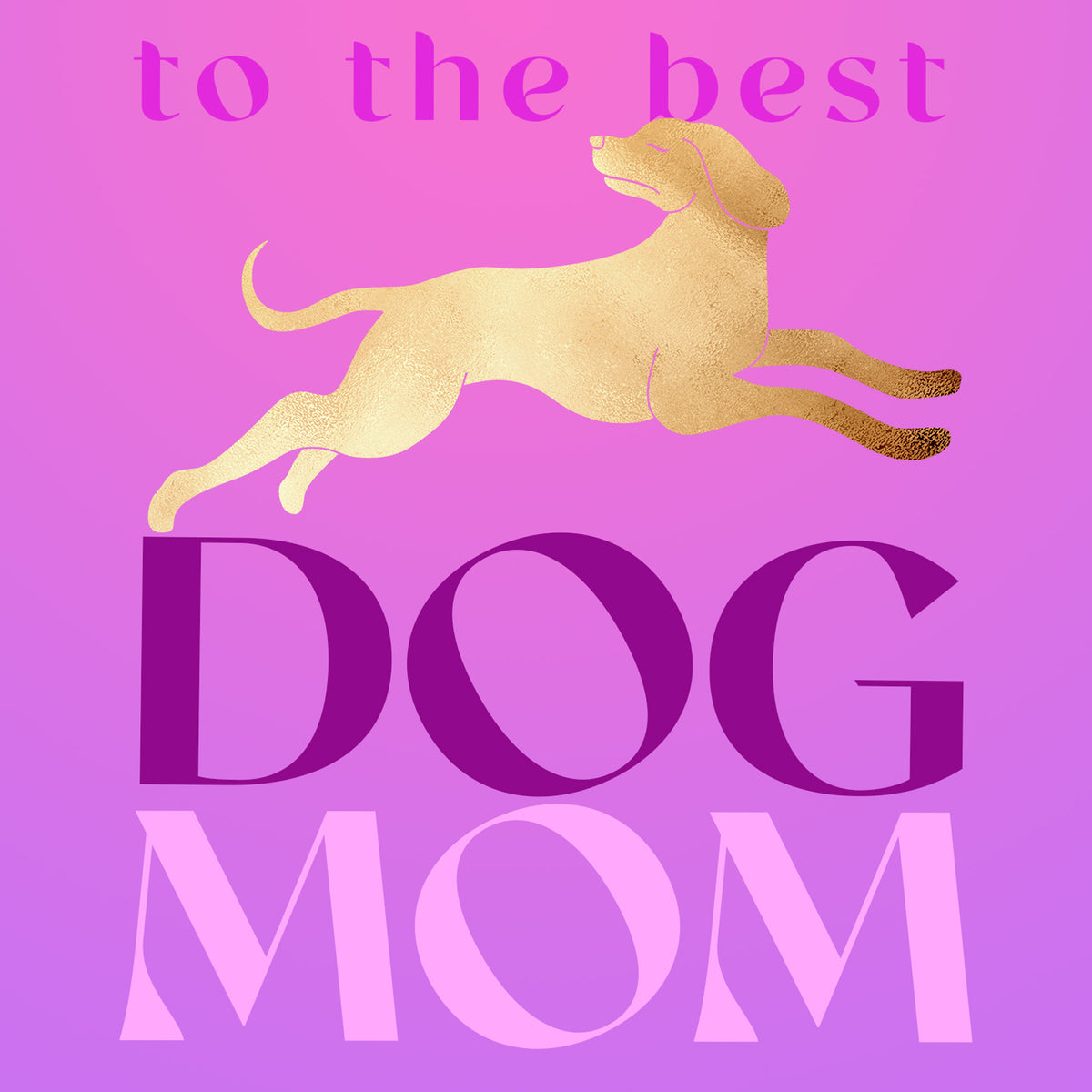 Dog Mom Gift Box Set