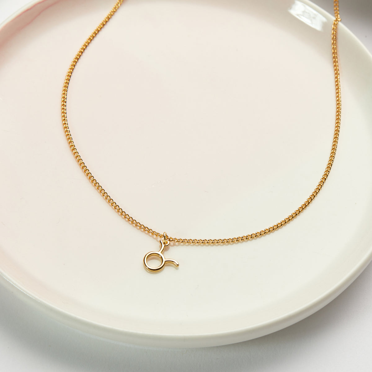 Taurus Zodiac Gift Necklace